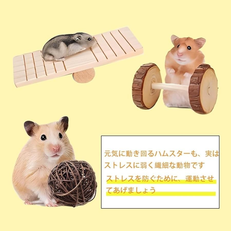 成体ラット フェレット チンチラ モルモット 大型ハムスター用