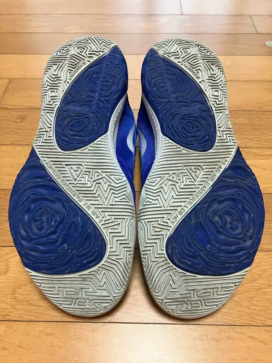  NIKE ナイキ Zoomfrik 1 275 シューズ(男性用) バスケットボール