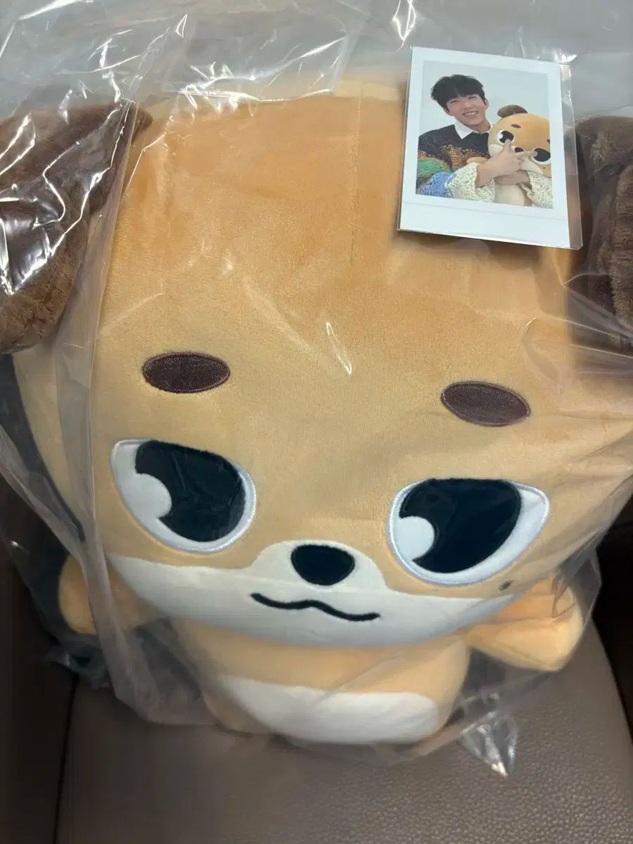 デニマルズ(DENIMALZ) お金 ドウン(DOWOON) 人形 ぬいぐるみ ぬい DAY6