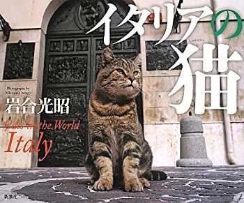 【未使用】【中古】 イタリアの猫
