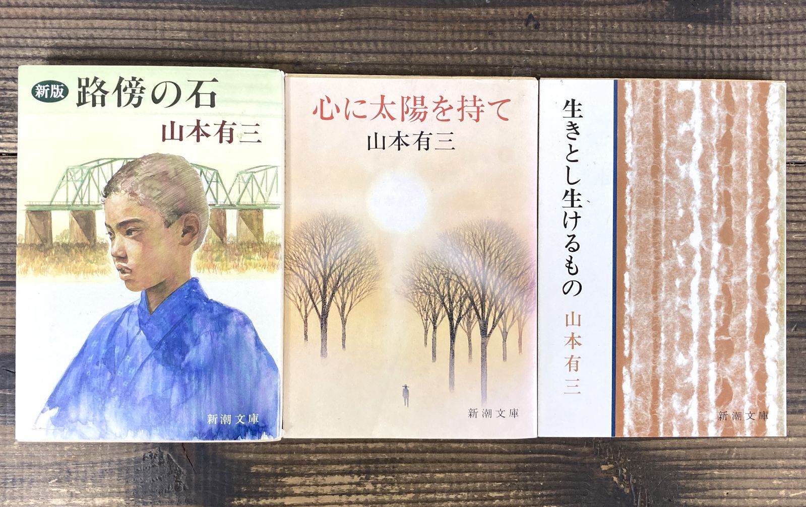 【山本有三☆文庫本3冊セット】路傍の石／生きとし生けるもの／心に太陽を持て