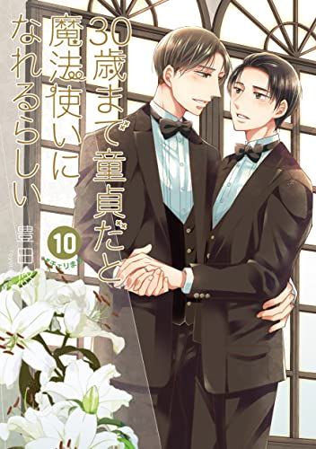 30歳まで童貞だと魔法使いになれるらしい(10) 特装版 純愛(ピュアラブ)Wedding Book付き (SEコミック