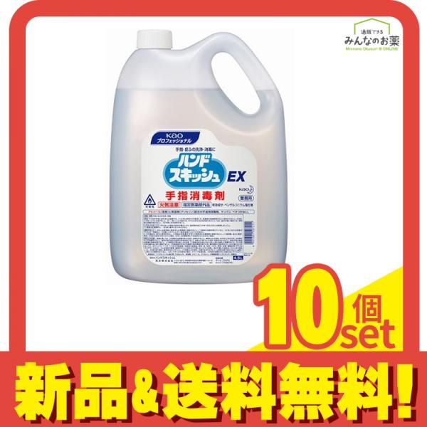 ハンドスキッシュ EX 手指消毒剤 4500mL 詰め替え用 10個セット まとめ売り