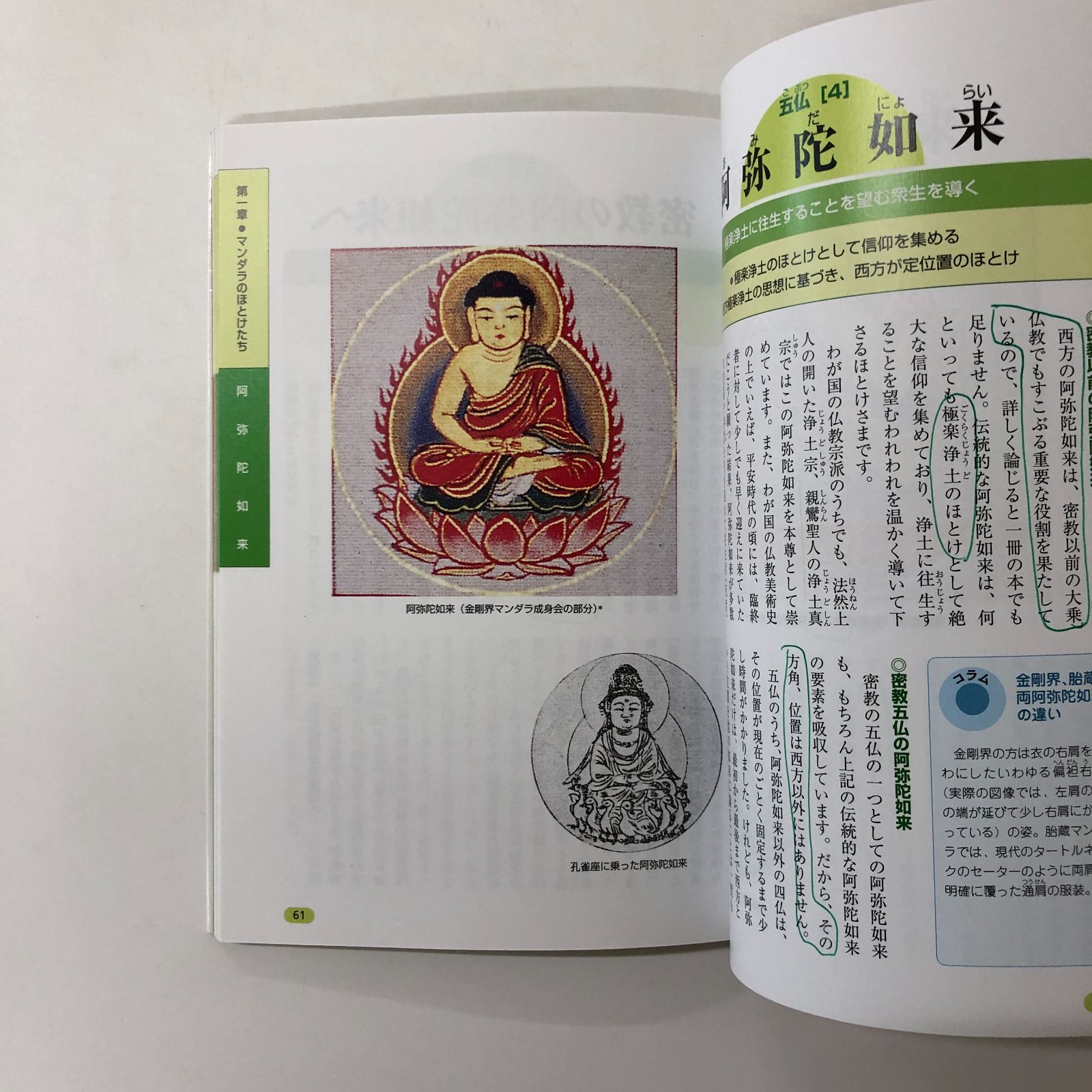 K]すぐわかるマンダラの仏たち 改訂版 本宏 頼富 - メルカリ