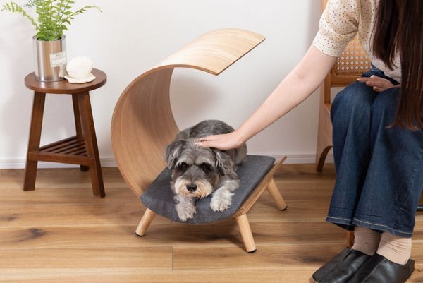 新品】コストコ ペットベッド 2個セット 新作 イタグレホイホイ ④