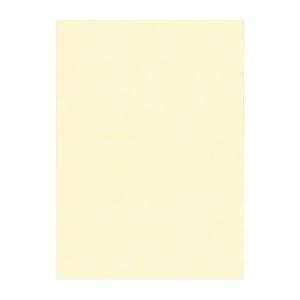 （まとめ） 文運堂 ニューカラーR 四ツ切 横392×縦542mm 4NCR-112 うすクリーム 100枚入 【×2セット】