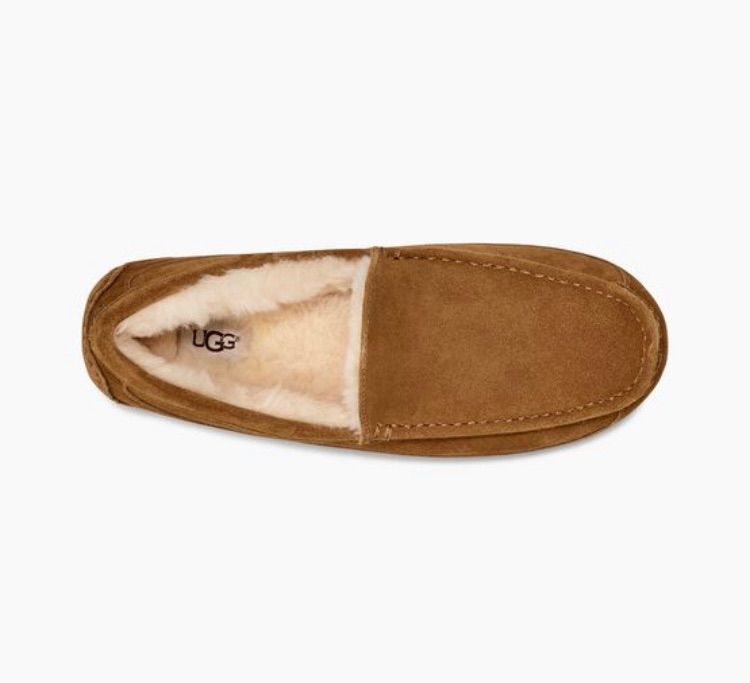 UGG アグ ASCOT アスコット ブラウン モカシン メンズ メンズ