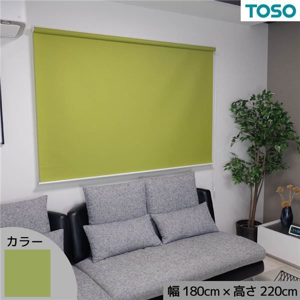 窓にも間仕切にも活躍 採光プレーンロールスクリーン グリーン 約幅180cm×高さ220cm