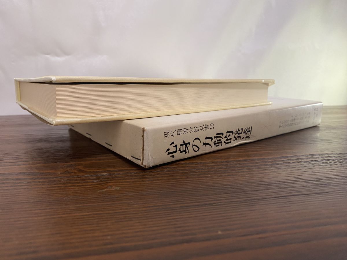 心身の力動的発達 現代精神分析双書19 小此木啓吾 岩崎芸術