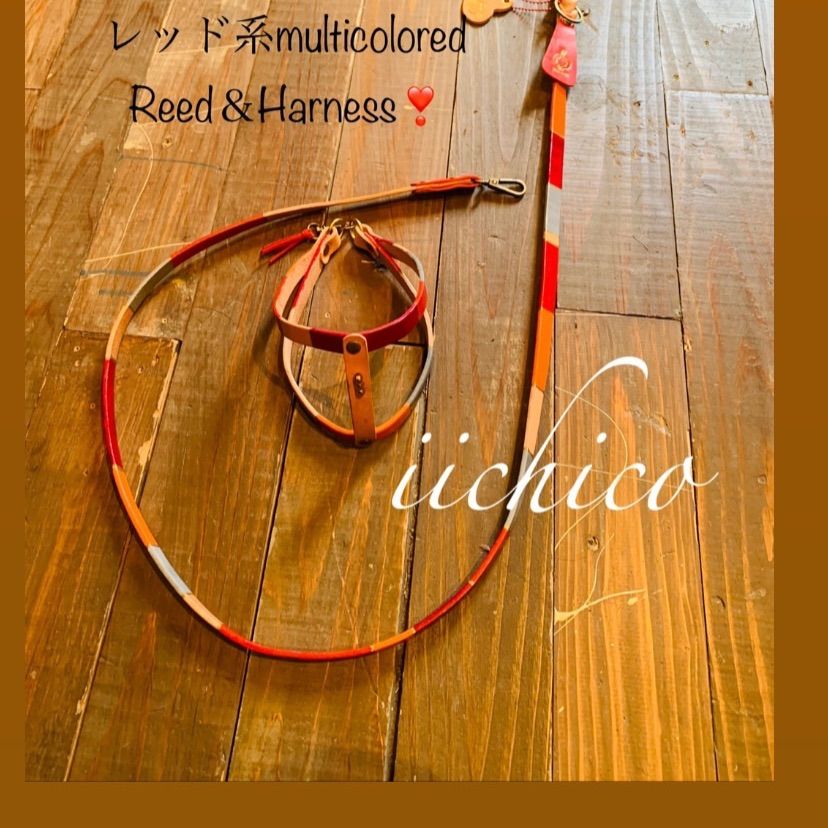 リード＆ハーネス2点SET❗️レッドミニタリー