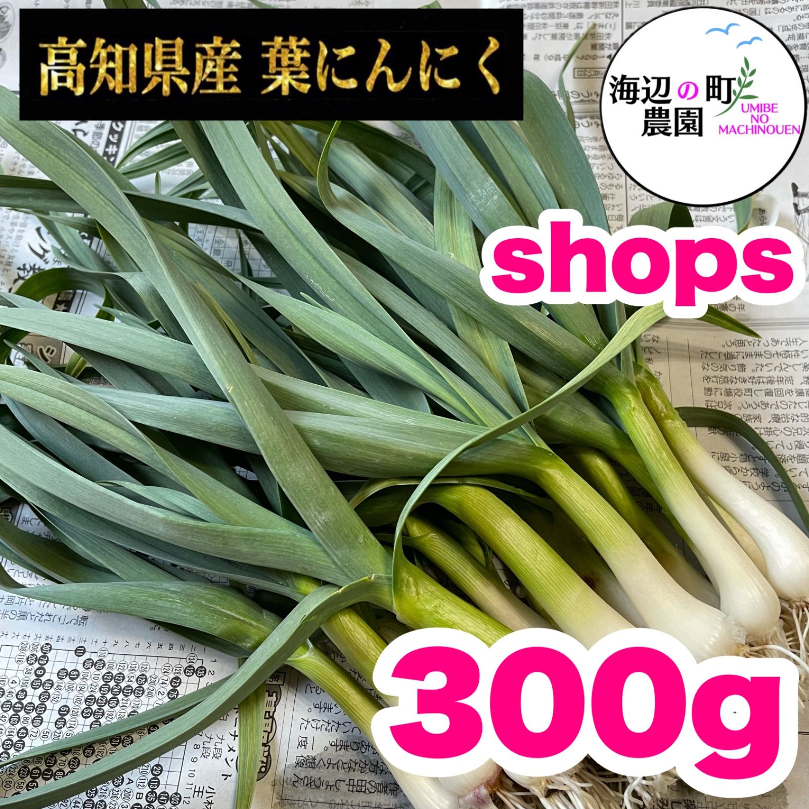 農家直送 葉にんにく400g - 野菜