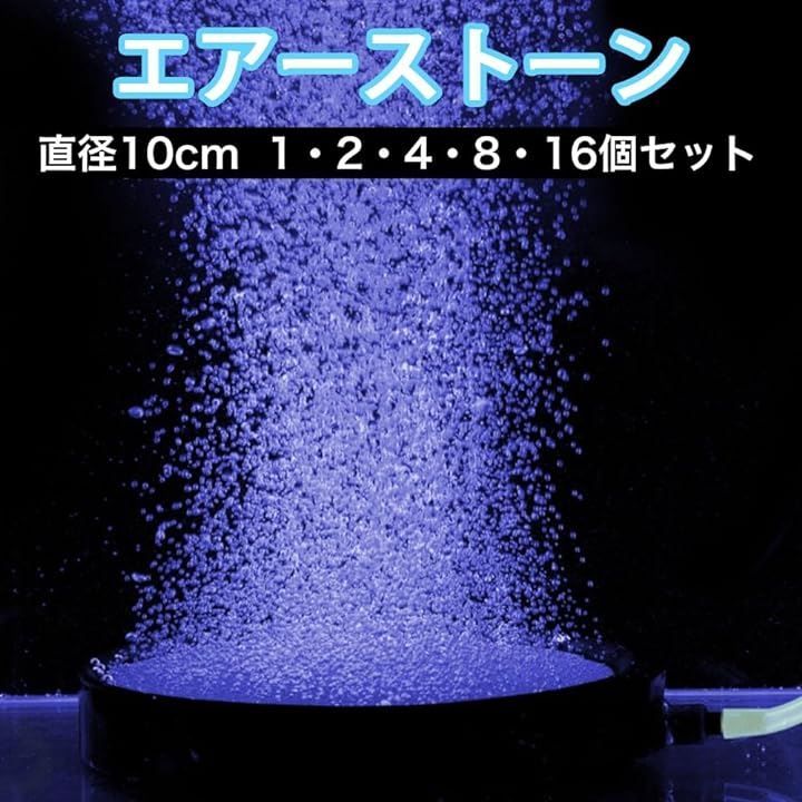 メダカ