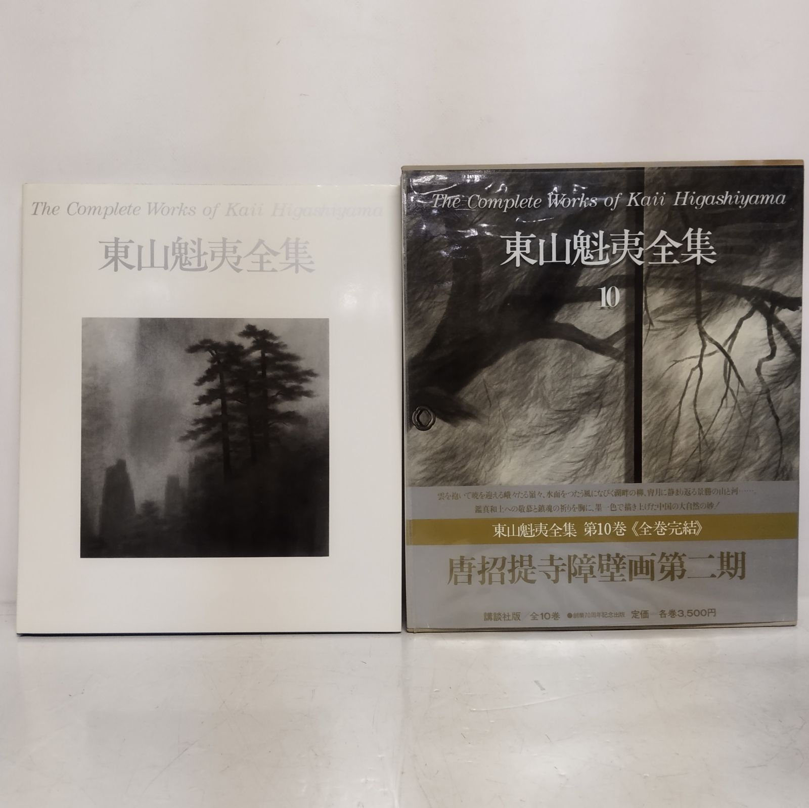 東山魁夷全集 全10巻 帯あり /HM-0029 - メルカリ
