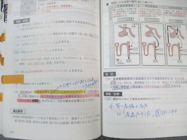 【裁断済・未使用・美品】レビューブック内科・外科 2022-2023 CBT・医師国家試験のためのレビューブック 内科・外科 2022