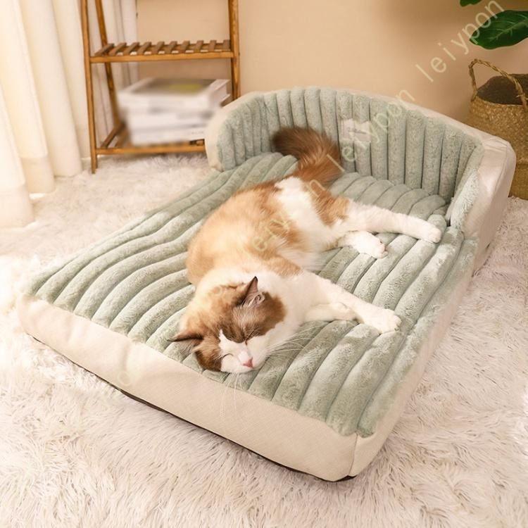 犬 猫
