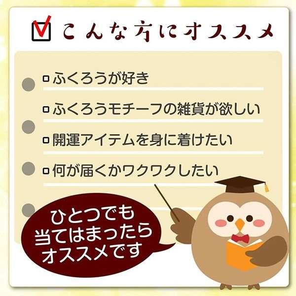 目を引く 超 ふくろうがいっぱい福袋 ５点入り メーカーよりの直送品の為 キャンセル不可 他の商品との同梱不可