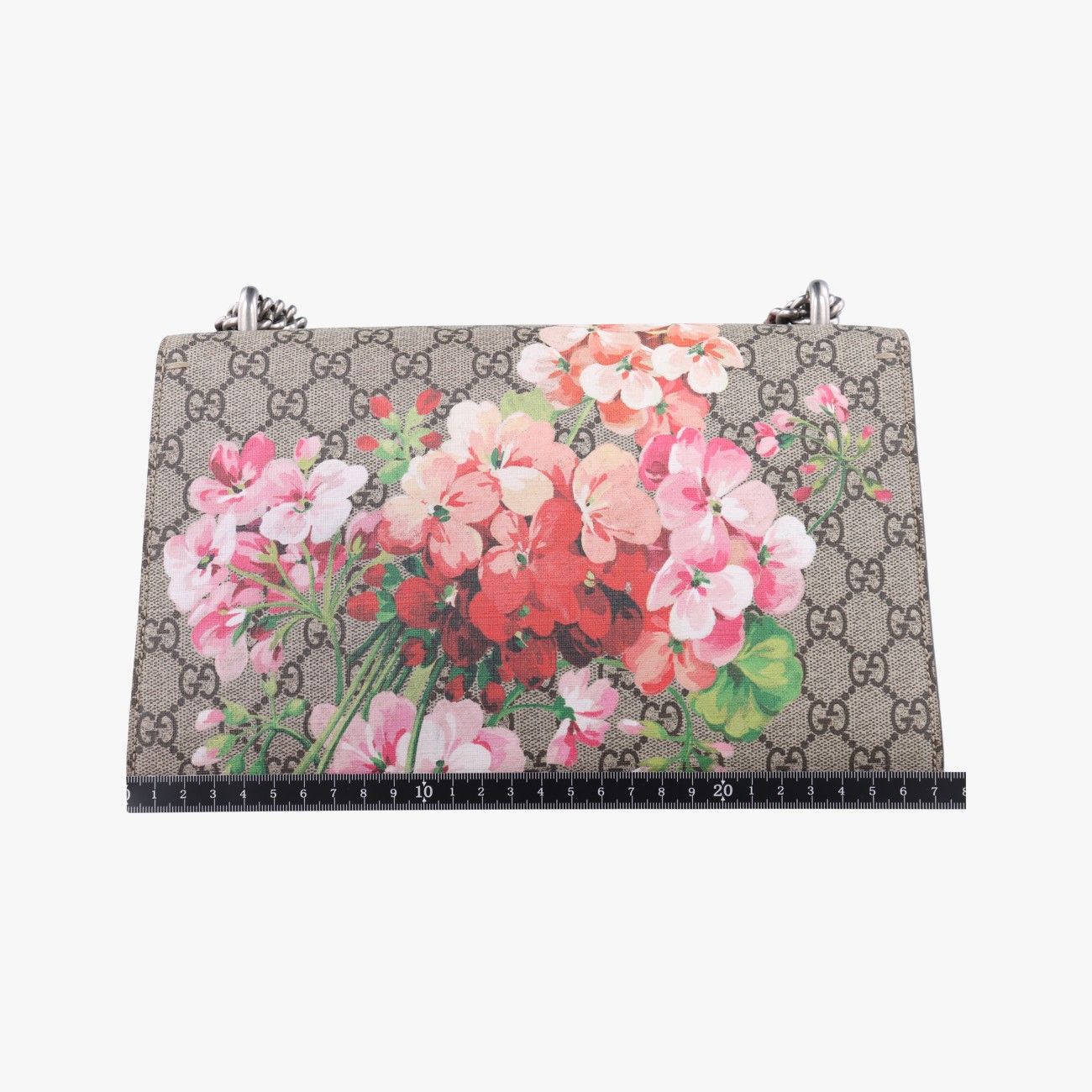 グッチGucciディオニュソスベージュ×レッド×マルチ PVCコーティングキャンバス400249F023787582