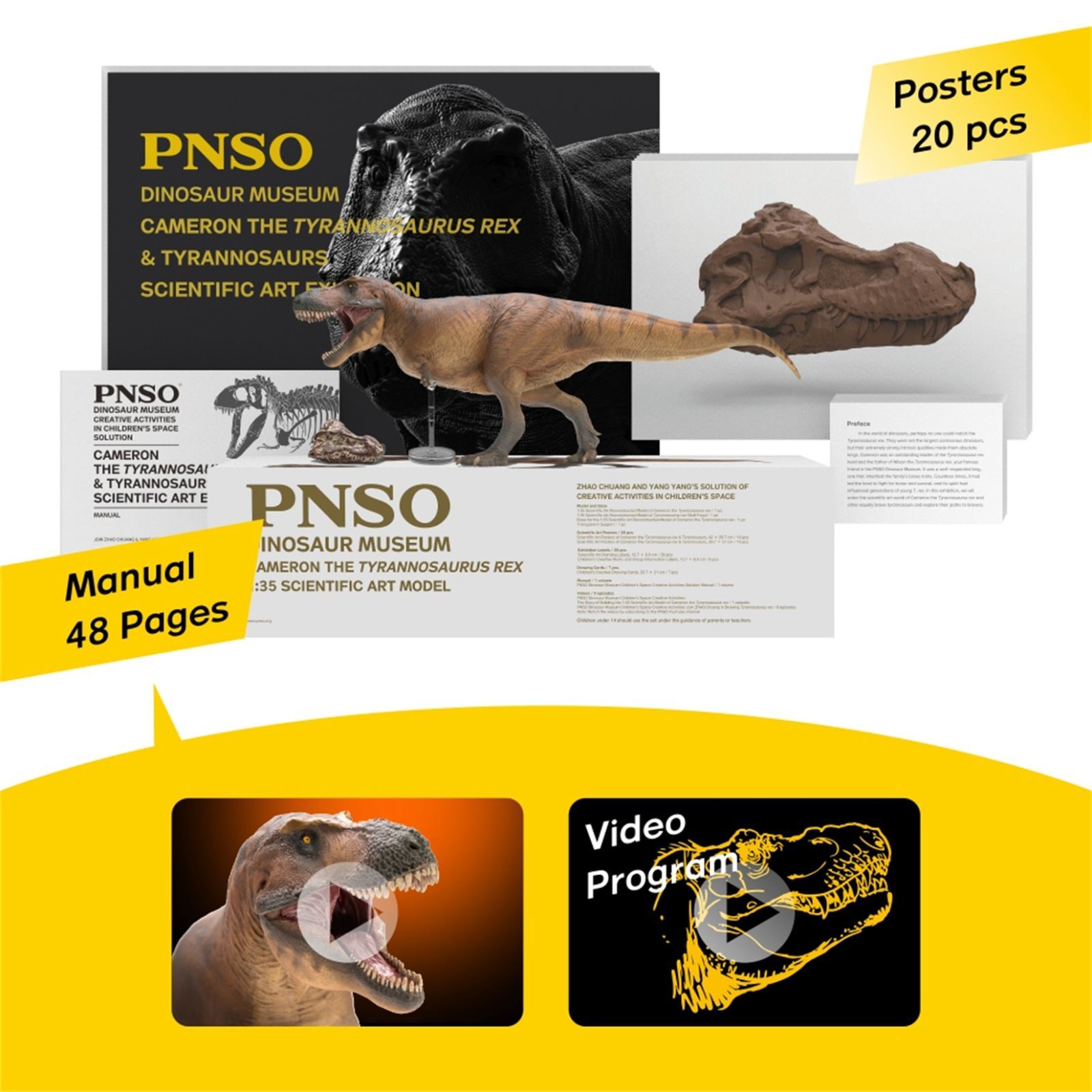 Amazon | PNSO 恐竜博物館 1/35 サイズ ティラノサウルス T-REX