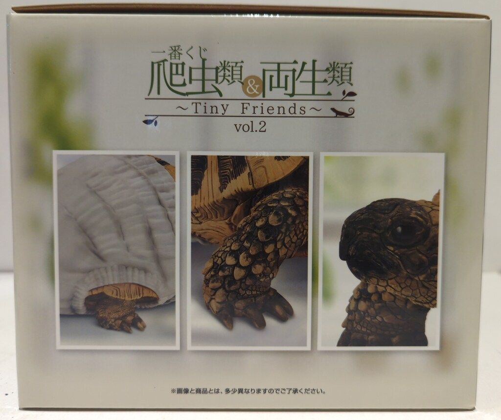 【新品】爬虫類＆両生類　一番くじ　ヘルマンリクガメ フィギュア 部屋んぽver. 爬虫類 一番くじ C賞 ヘルマンリクガメフィギュア 部屋んぽver