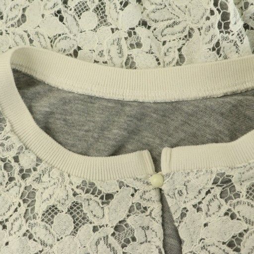 ANAYI レースプルオーバー 38 白 アナイ ANAYI 総レースプルオーバー カットソー 長袖 38