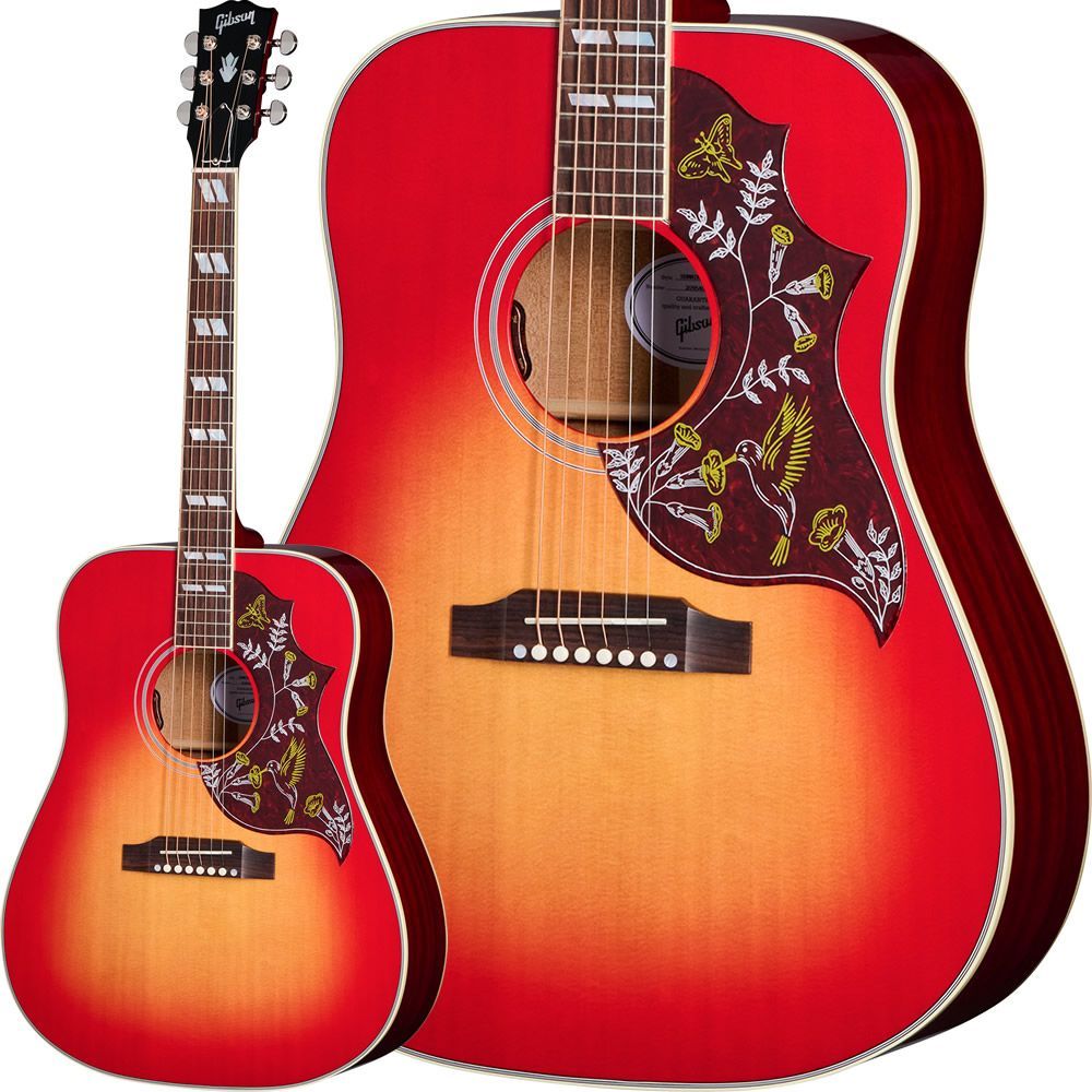 アコースティックギター ケース 一覧 | 島村楽器オンラインストア