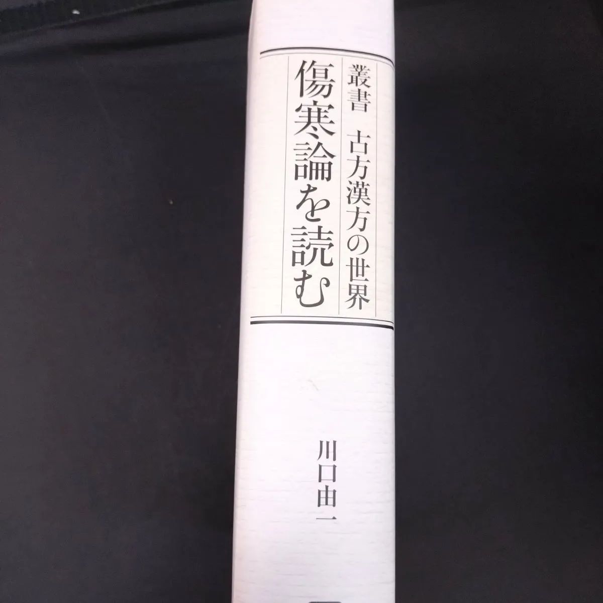 初版第一刷・美品】叢書 古方漢方の世界 傷寒論を読む 川口由一