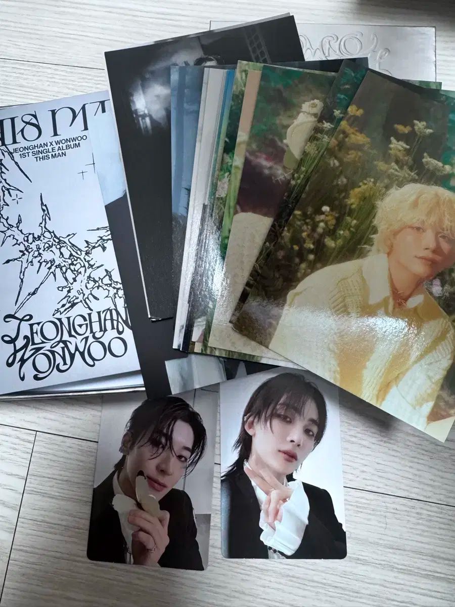 遠征 ウォヌ(WONWOO) ジョンハン(JEONGHAN) ディスマン This man