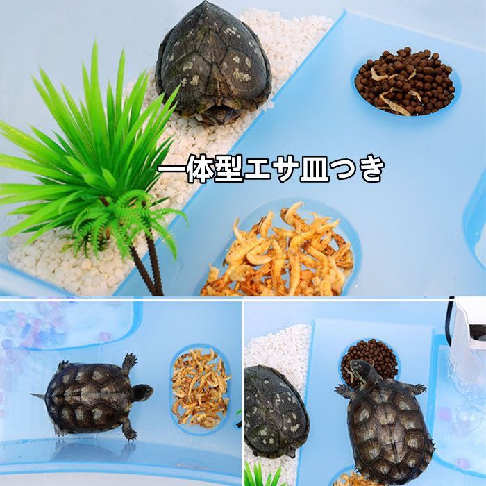 亀の水槽 カメ 飼育ケース 大きい ボックス タートルタンク 日向ぼっこ