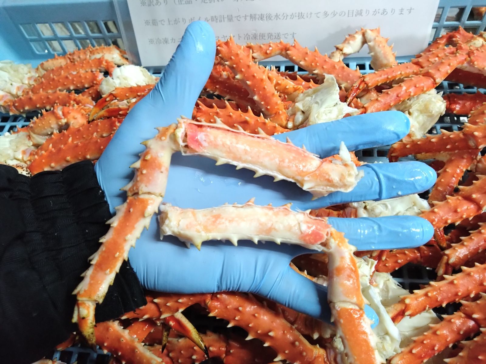 12月30日お届け タラバガニ足7～20肩で2㎏ボイル冷凍品