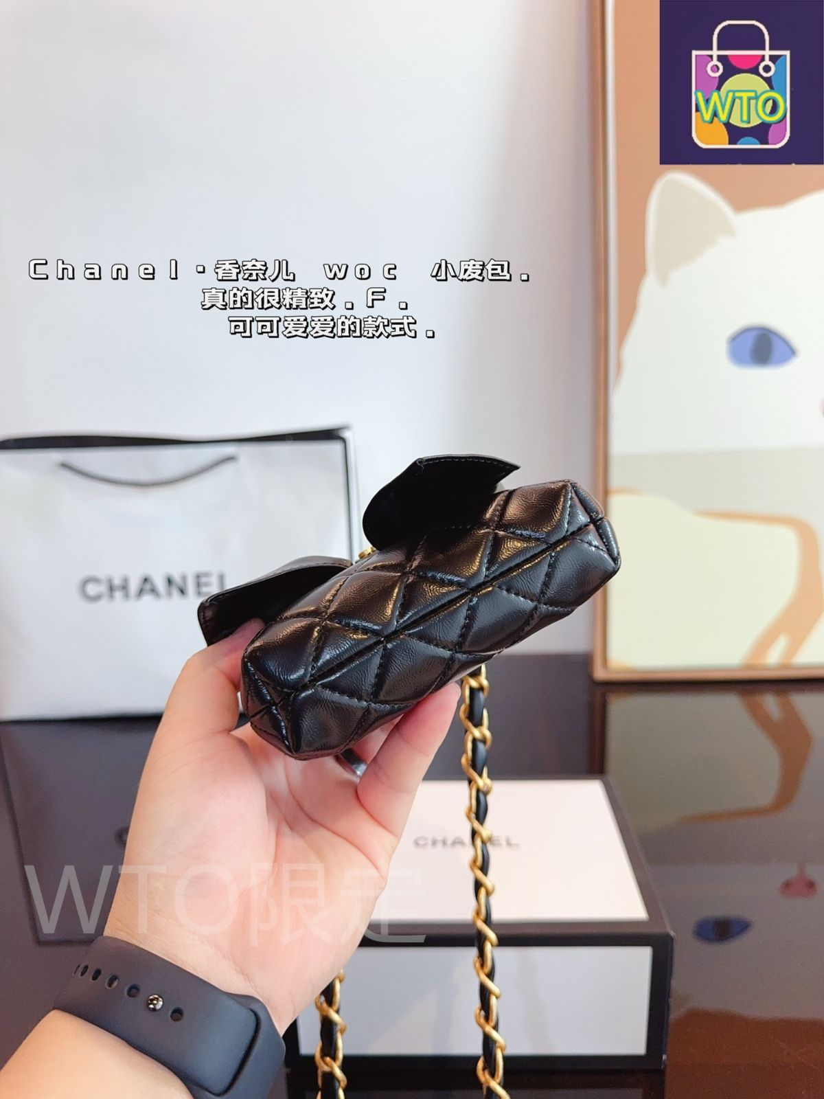 今日WTO】シャネル CHANEL 24C 花蝶ミニバッグ 少女感満点 送料