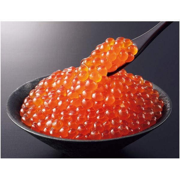 0*0様 GLAYファンクラブ限定バインダー&会報誌70〜93 GLAYファンクラブ