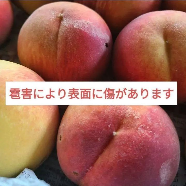 福島県産桃 黄貴妃3kg 訳あり - メルカリ