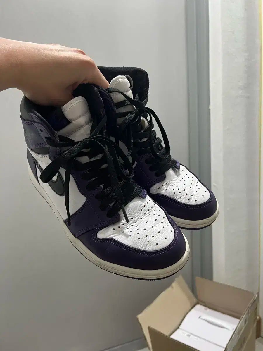 ナイキ ジョーダン 1 ハイ コットンパープル 260
