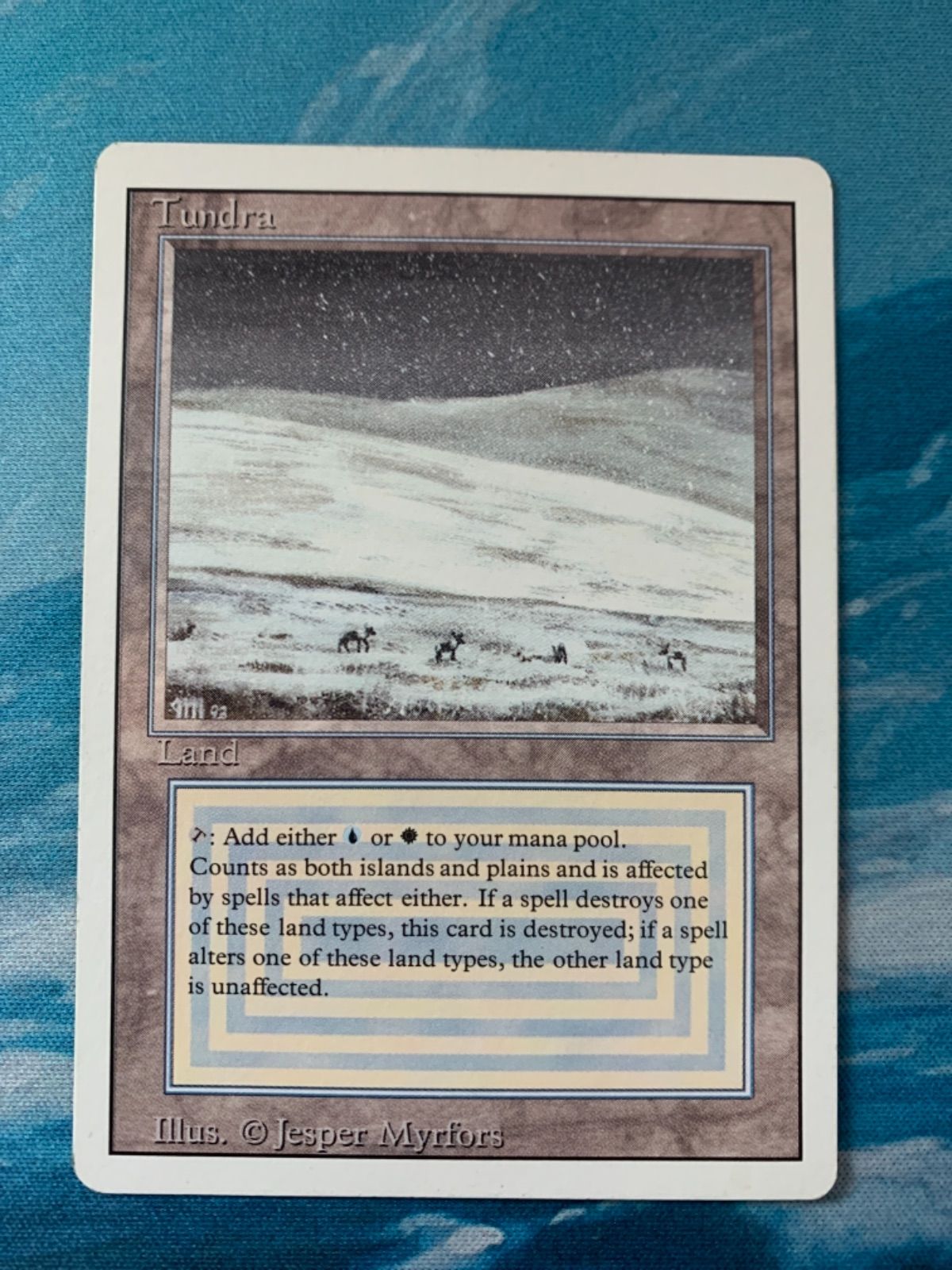 MTG Tundra①