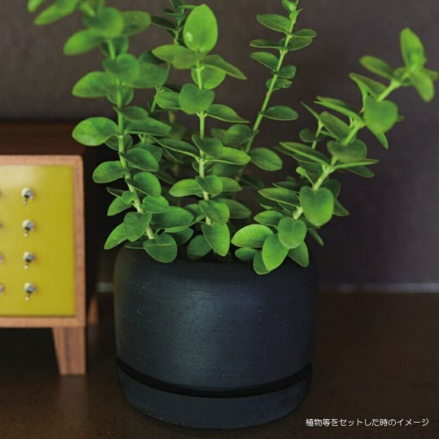 花 観葉植物用ポット エルサ 11 K Polystone POT 4個入り 18028 底穴あり 受皿付き 代引き不可 小型ポット FARM p109 STEELWINDOWSANDDOORS_COM