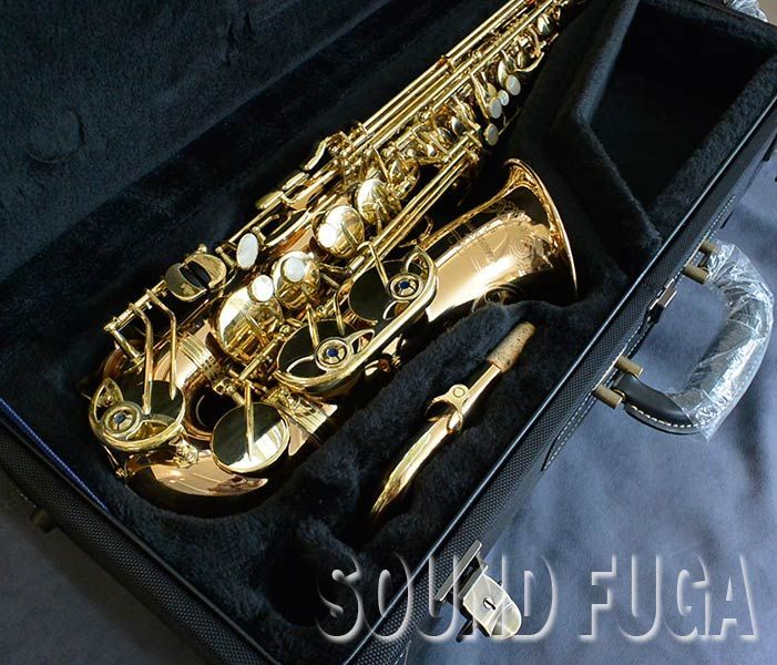 YANAGISAWA A-WO20 ブロンズ上位現行モデル アルトサックス - メルカリ