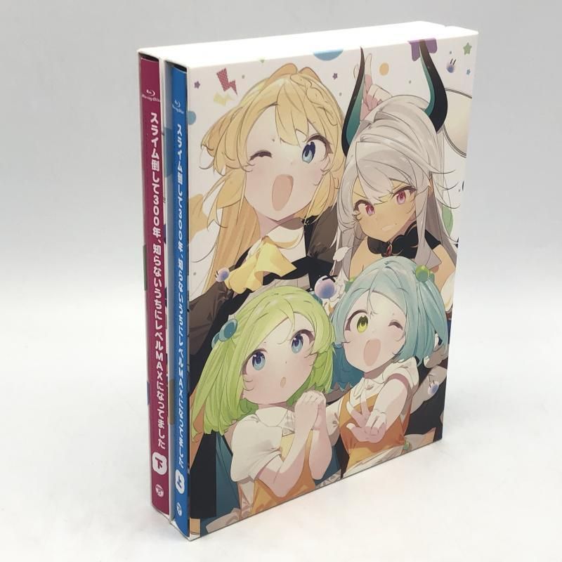 中古】スライム倒して300年、知らないうちにレベルMAXになってました 