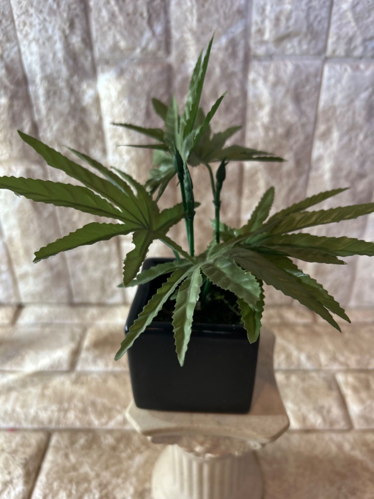 光触媒 人工観葉植物 マリファナ 草 大麻 CBD 123 - メルカリ