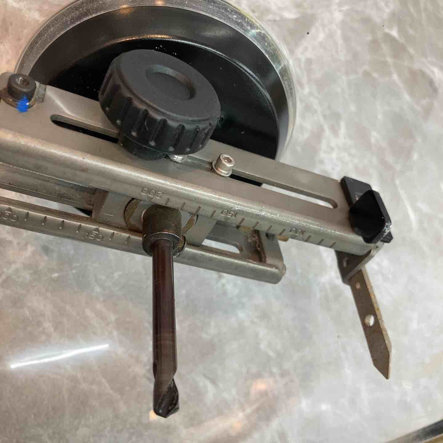 天井フリーホルソー