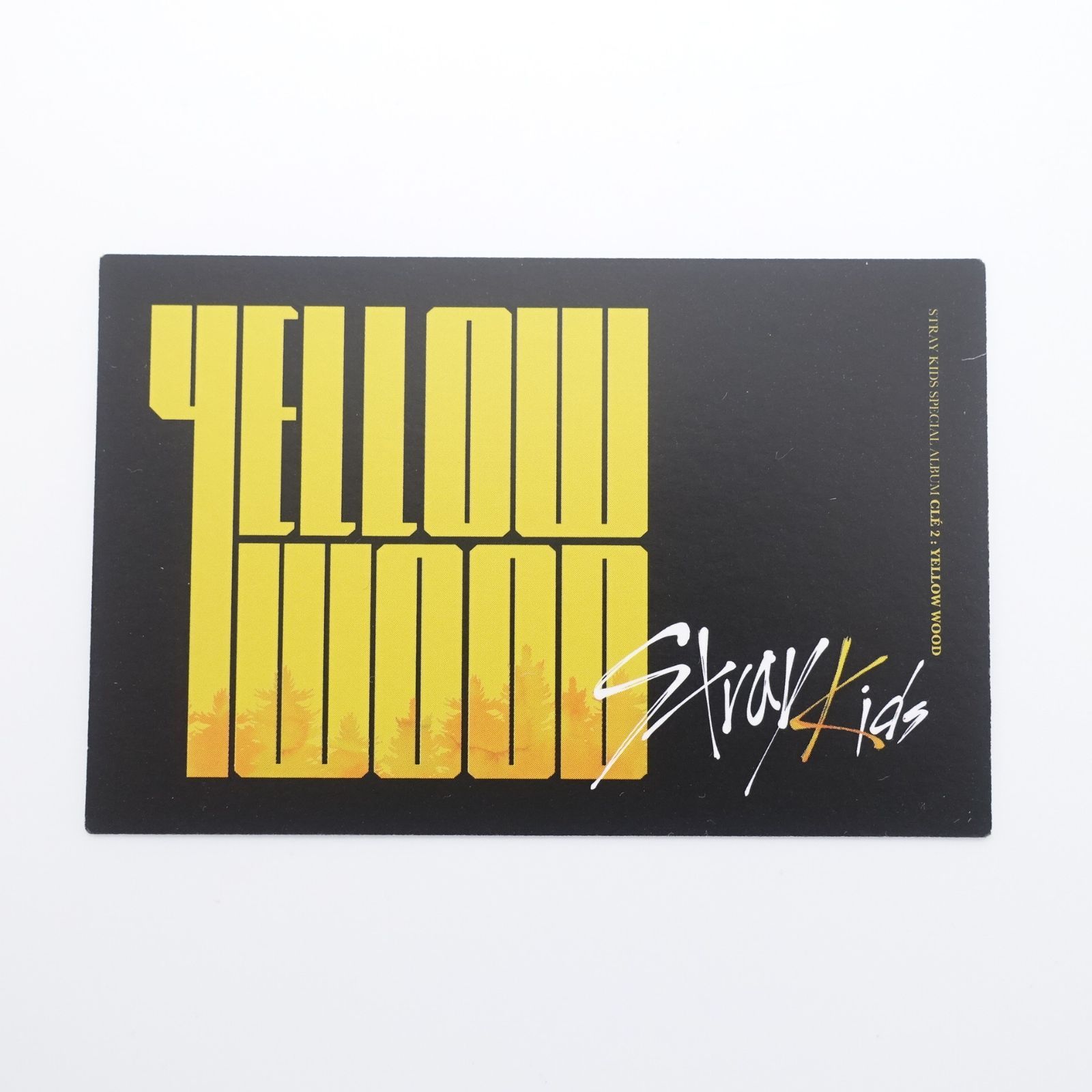 販売店一覧 straykids トレカ リノ yellowwood 初回特典 | artfive.co.jp