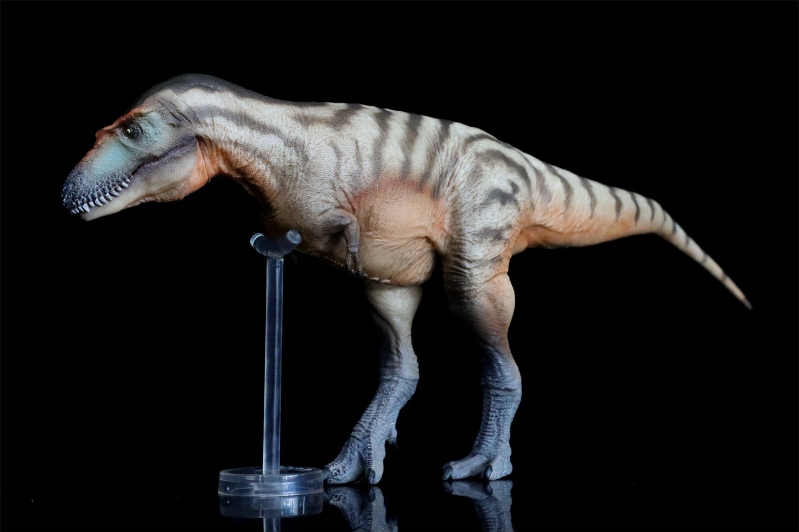 木彫 ゴルゴサウルス 1/10 スケール 11㎝ その他