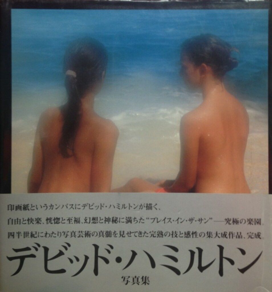 ジャパン・ミックス David Hamilton 陽の当たる場所 (帯付)