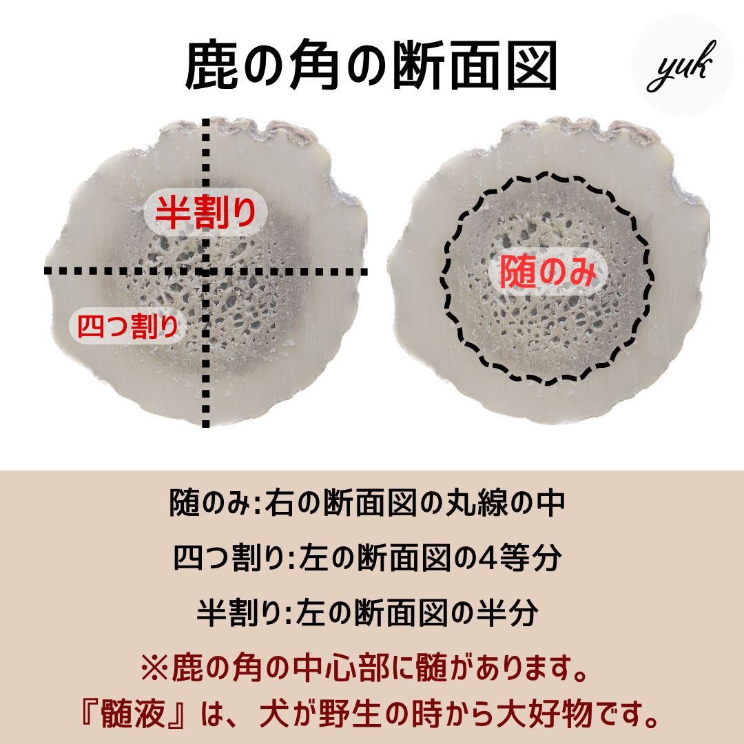 【よるこ様専用】超小型犬用🐶お試しセット6本セット　🐶髄のみ3本　✅四つ割り✅半割り✅一本物先端🦌北海道産エゾ鹿の角🦌犬のおもちゃ🐕鹿の骨　A