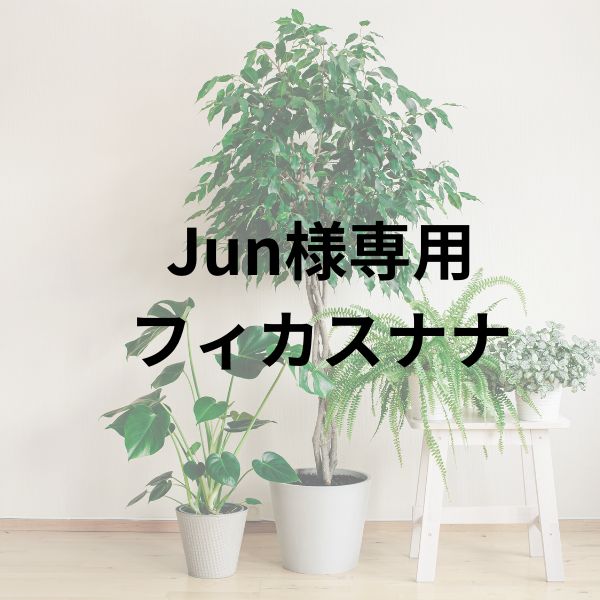 Jun様専用 - メルカリ