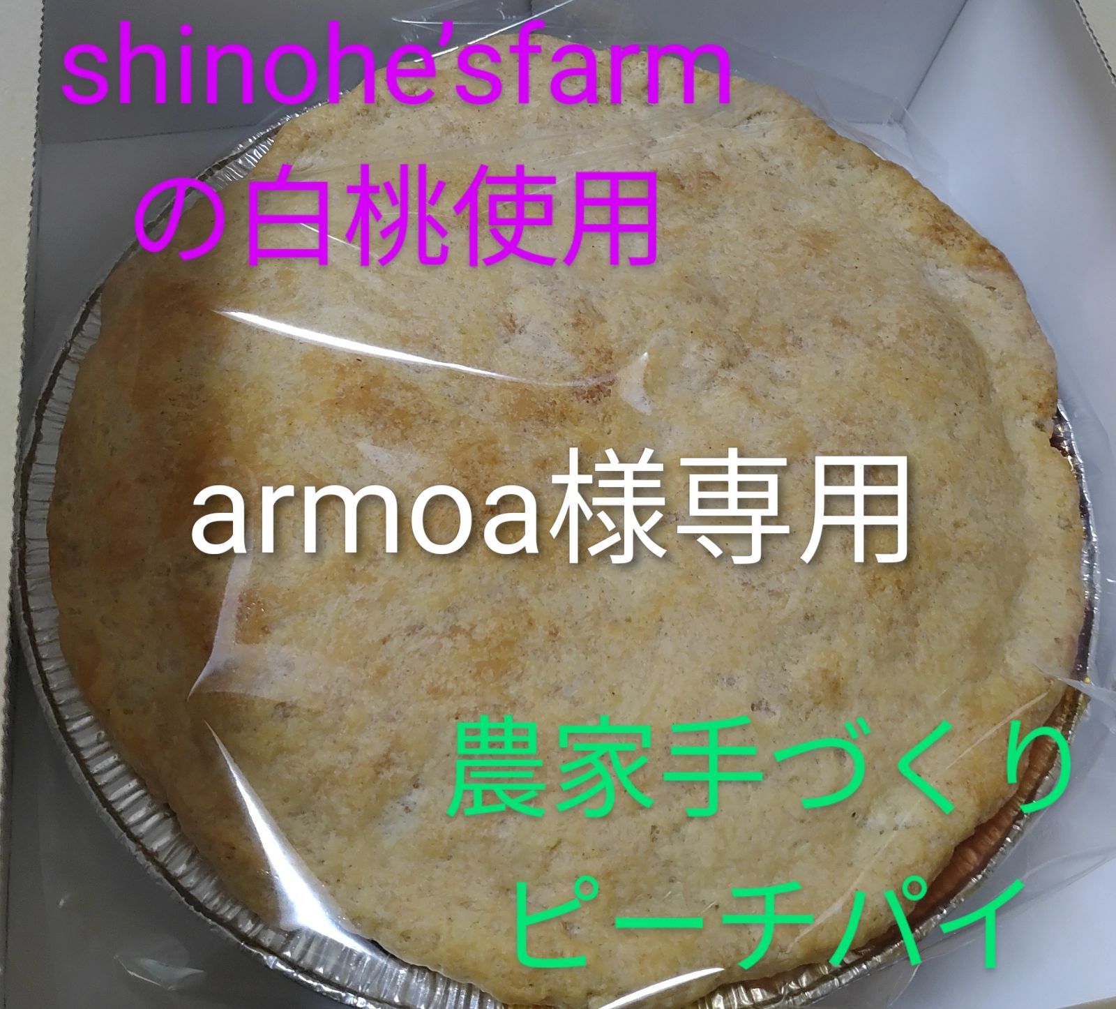 レオ様専用 タンドール窯 レシピ、取説付き