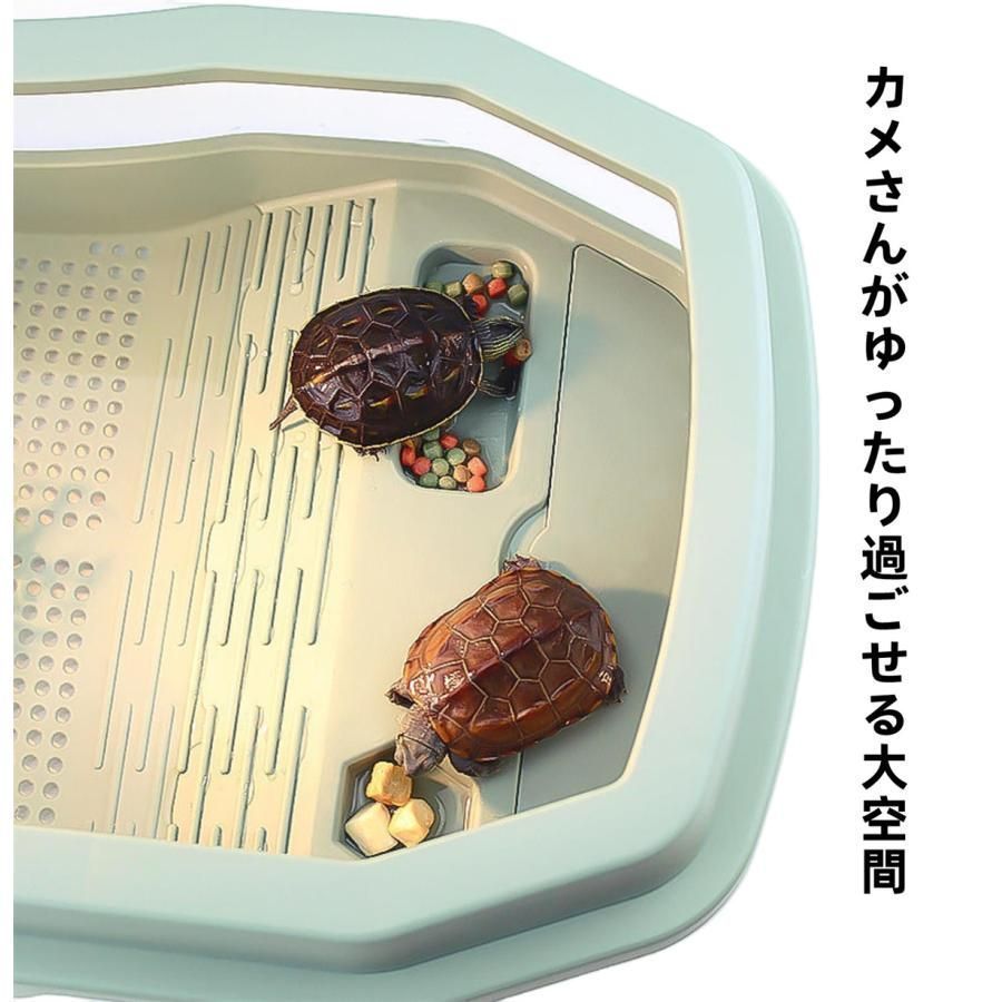 飼育ケース タートルタンク