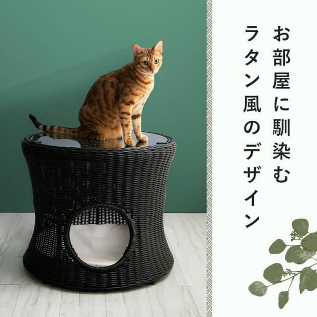 シンプル 完成品