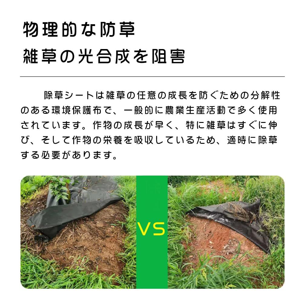 雑草対策