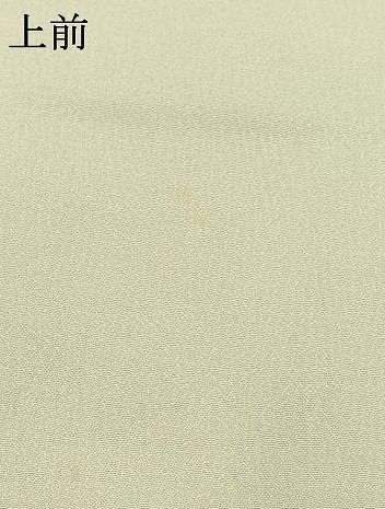 上質な色無地 単衣