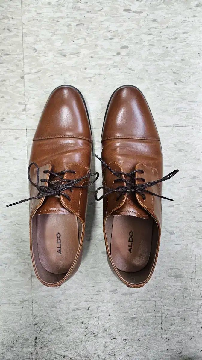 ALDO アルド 靴 260mm 265mm